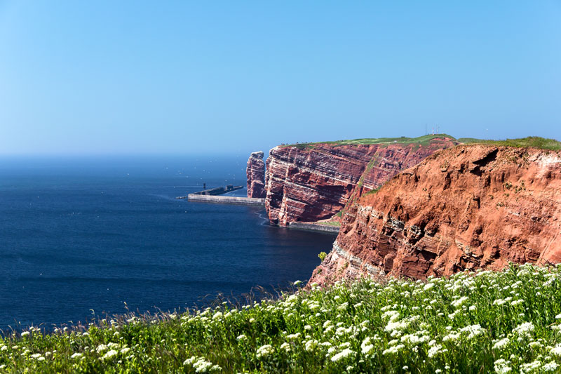 gesund-im-norden-gesundheit-magazin-reisen-nach-helgoland-während-corona-pollen-pollenarm-gräser