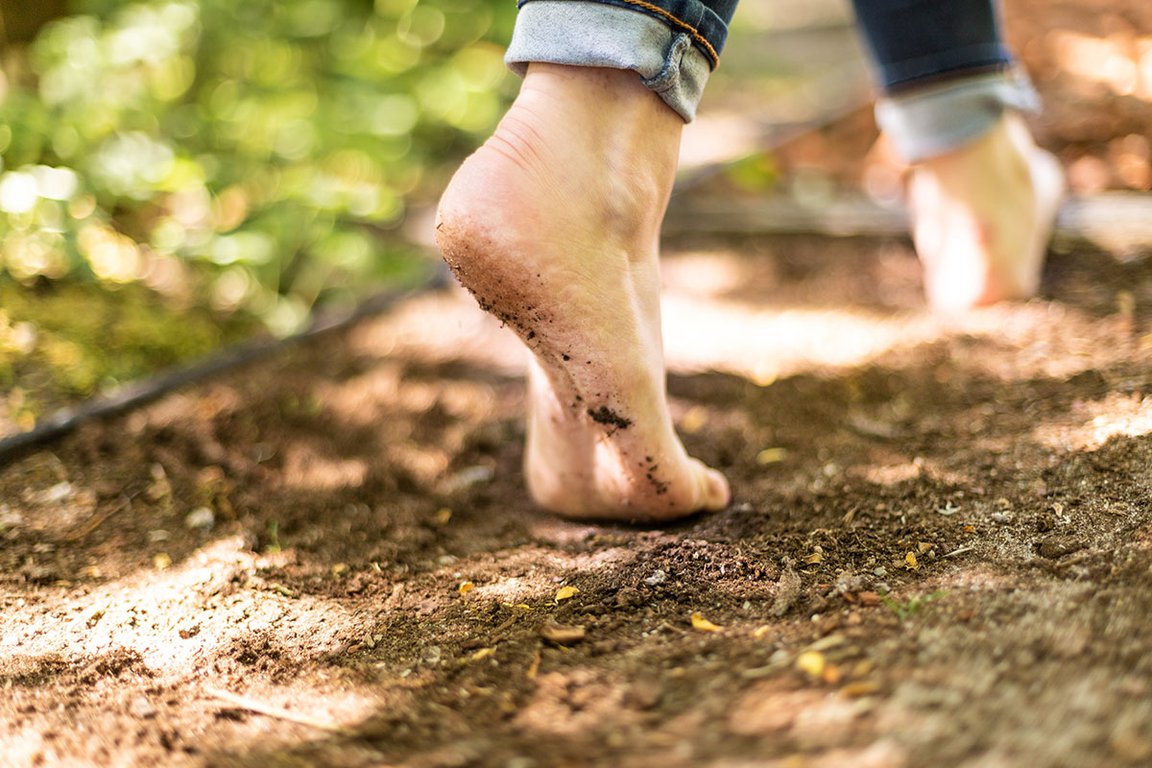 Herzlich Willkommen in Bad Bramstedt!